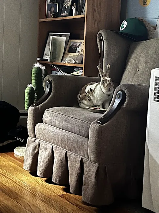Gansett Animal Hospital 4