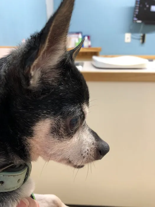North Country Veterinary Services 3