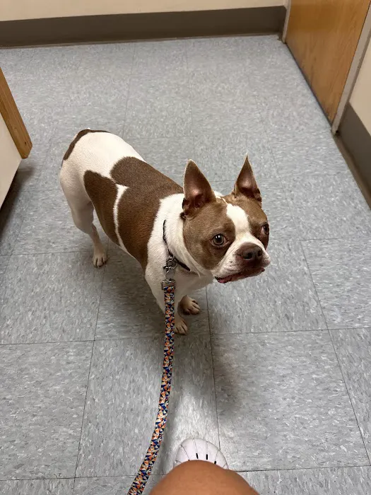 North Country Veterinary Services 2