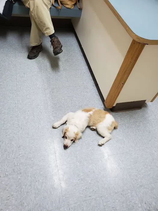 North Country Veterinary Services 6