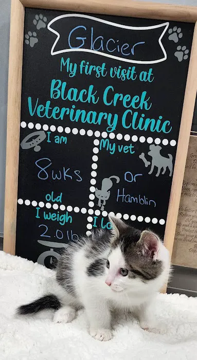 Black Creek Animal Clinic LLC 8
