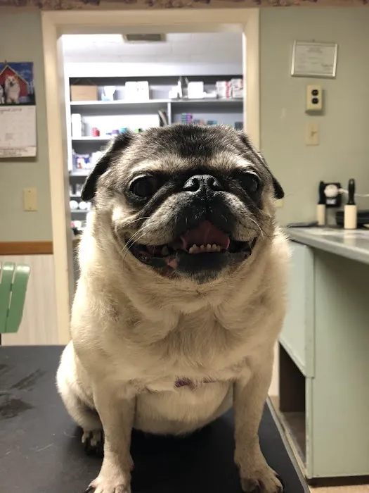 Black Creek Animal Clinic LLC 7