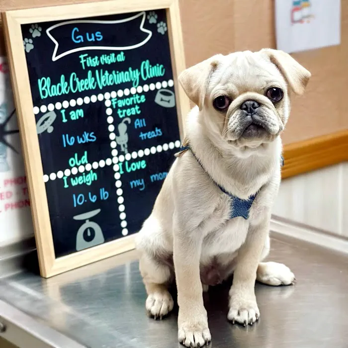 Black Creek Animal Clinic LLC 5