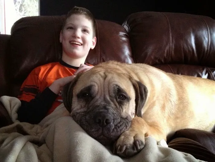 Black Creek Animal Clinic LLC 1
