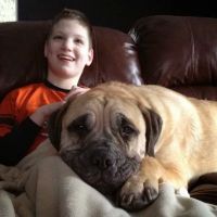 Black Creek Animal Clinic LLC ico