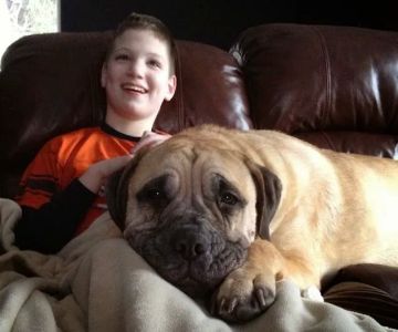 Black Creek Animal Clinic LLC