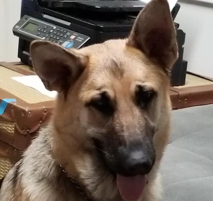 Tara Animal Hospital 8