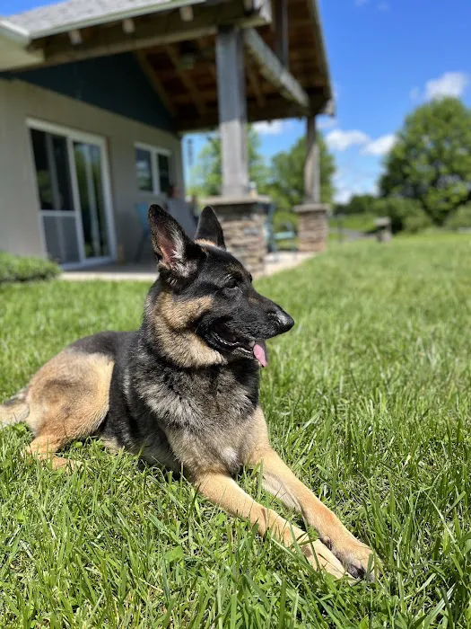 North Country Veterinary Services 2