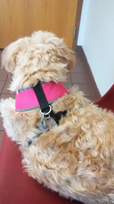 Fruit Valley Veterinary Clinic 4