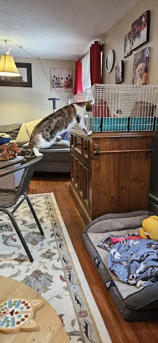 Fruit Valley Veterinary Clinic 7