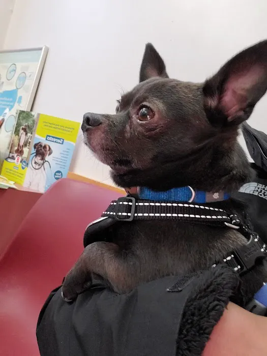 Fruit Valley Veterinary Clinic 9