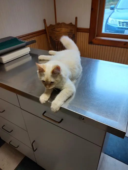 Mexico Veterinary Hospital 5