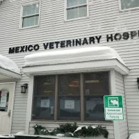 Mexico Veterinary Hospital ico
