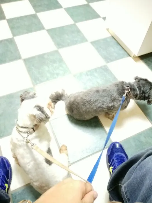 Mexico Veterinary Hospital 8