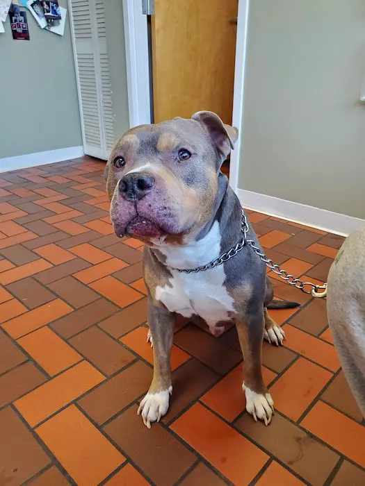 Brookside Veterinary Clinic 1