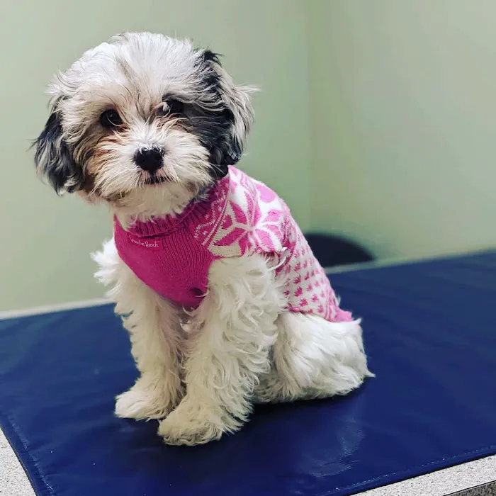 Brookside Veterinary Clinic 4