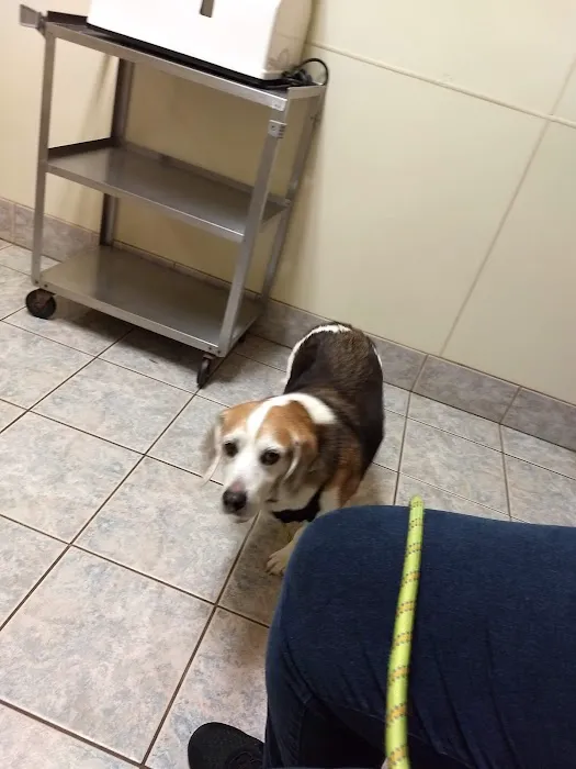 Mobile Veterinary Clinic 6