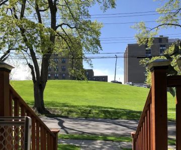 Cayuga Veterinary Services