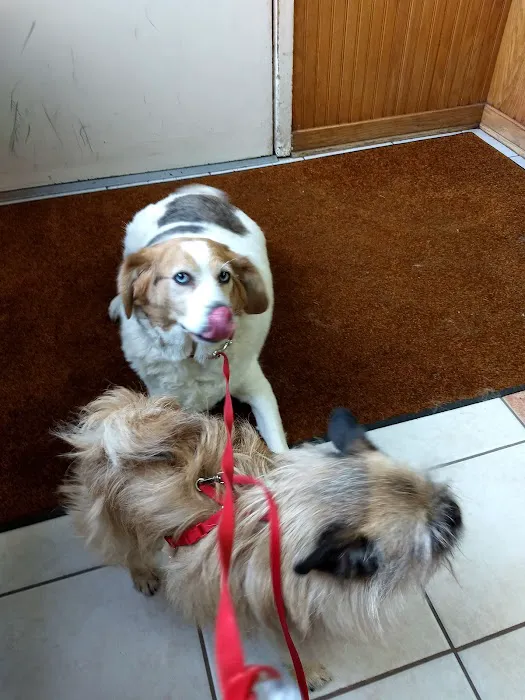 Cayuga Veterinary Services 7