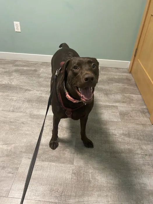 Cayuga Veterinary Services 4