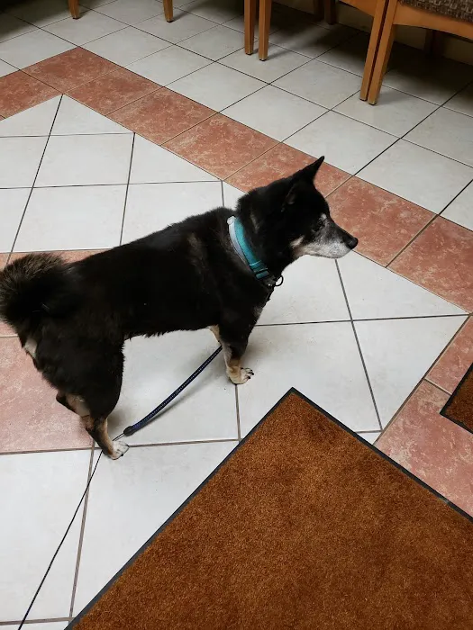 Cayuga Veterinary Services 8
