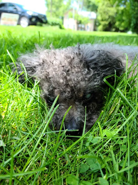 Weedsport Animal Hospital 4