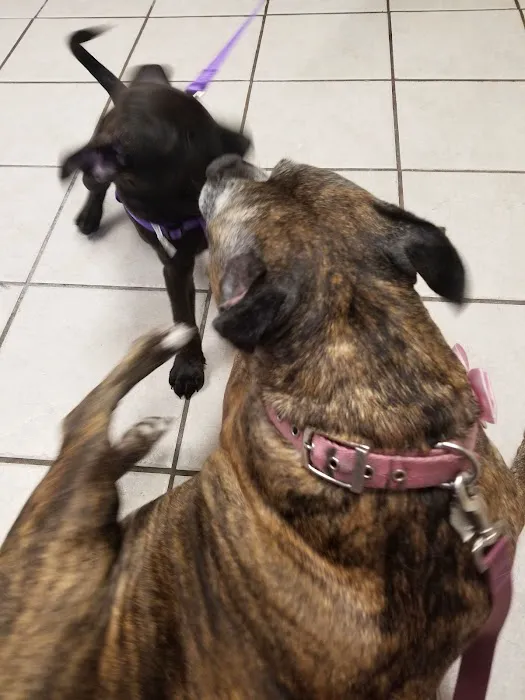 Weedsport Animal Hospital 7