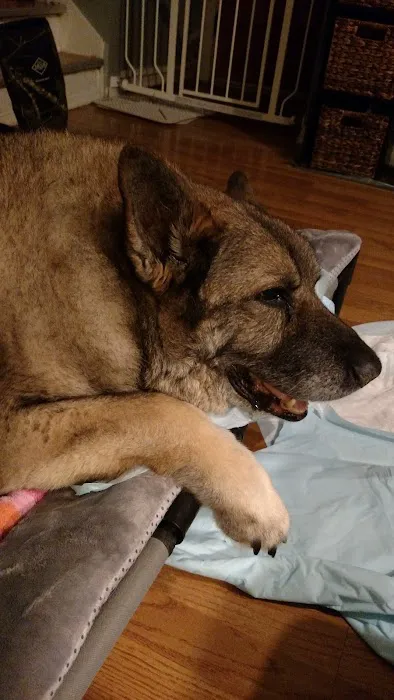 Weedsport Animal Hospital 8