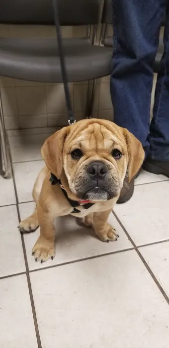 Weedsport Animal Hospital 9