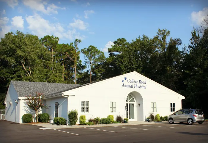 College Road Animal Hospital 8