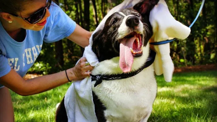 College Road Animal Hospital 9