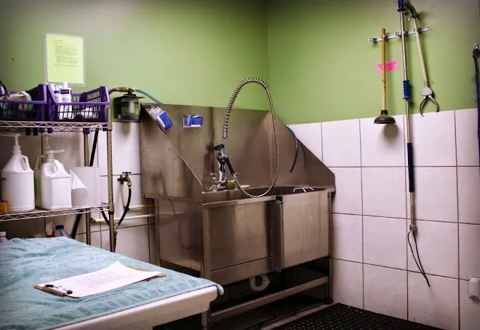 College Road Animal Hospital 1