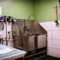 College Road Animal Hospital ico