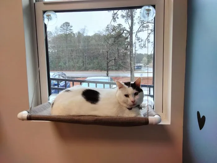 Sandy Paws Animal Hospital 3