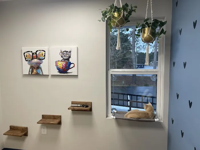 Sandy Paws Animal Hospital 2