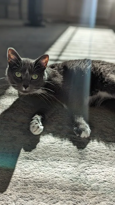 Sandy Paws Animal Hospital 4