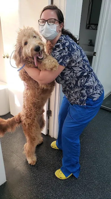 Coastal Carolina Animal Hospital 2