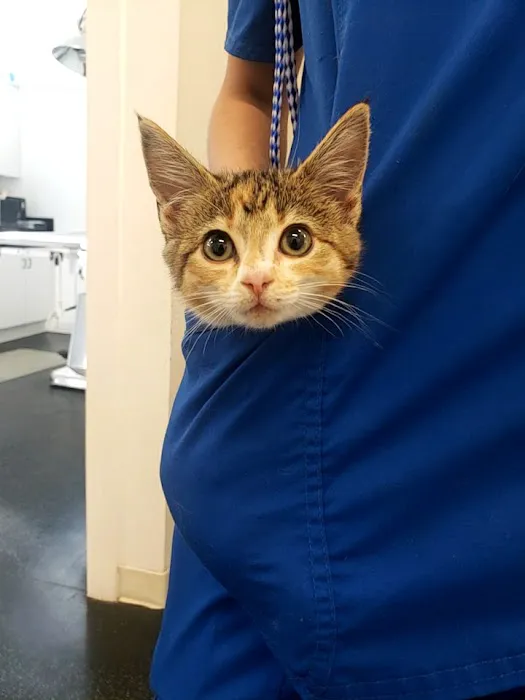 Coastal Carolina Animal Hospital 5