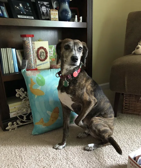 Coastal Carolina Animal Hospital 4