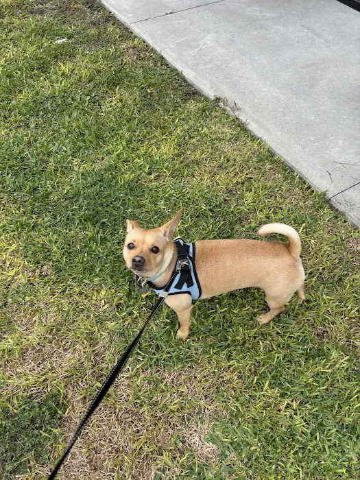 Bridges Professional Park Animal Hospital 10