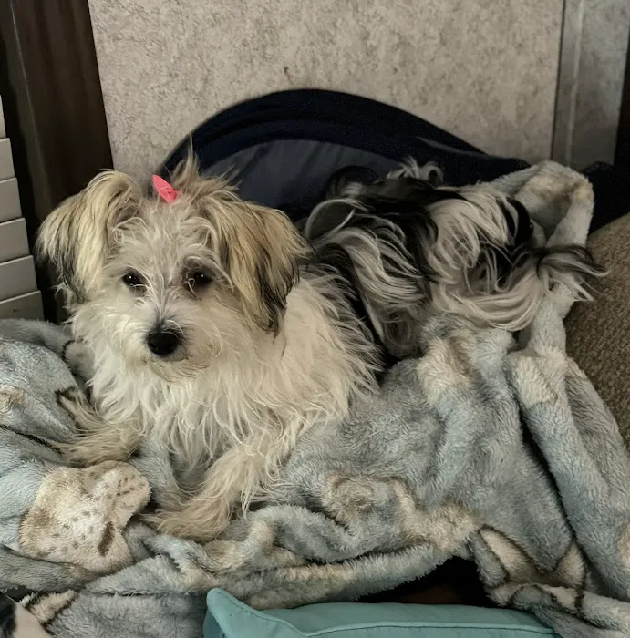 Bridges Professional Park Animal Hospital 6
