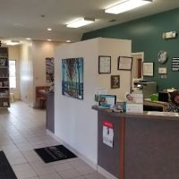 Bridges Professional Park Animal Hospital ico