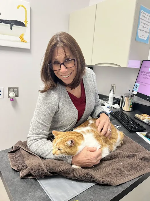 Felines First Veterinary Hospital 5