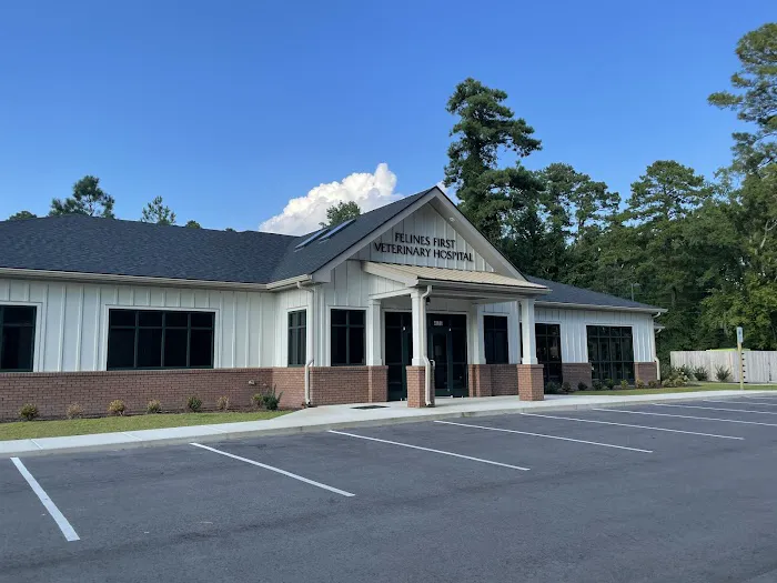 Felines First Veterinary Hospital 4