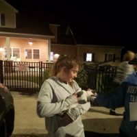 Beaufort Veterinary Hospital ico