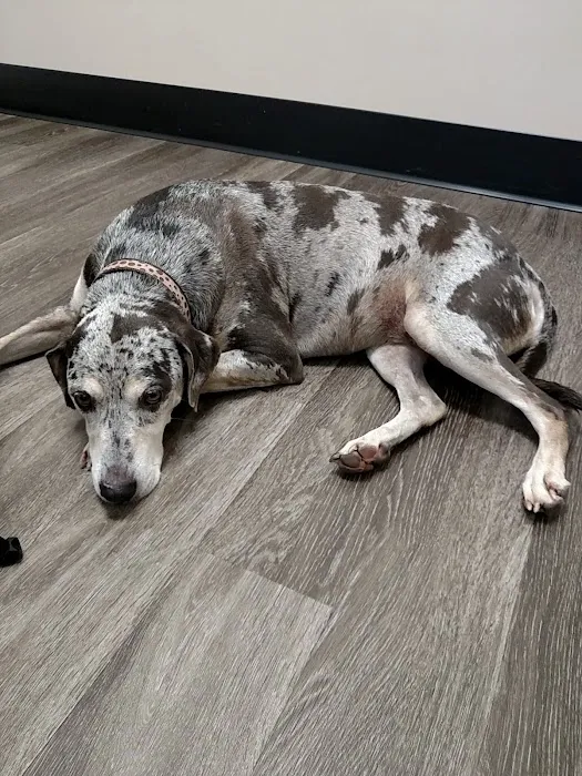 Beaufort Veterinary Hospital 3