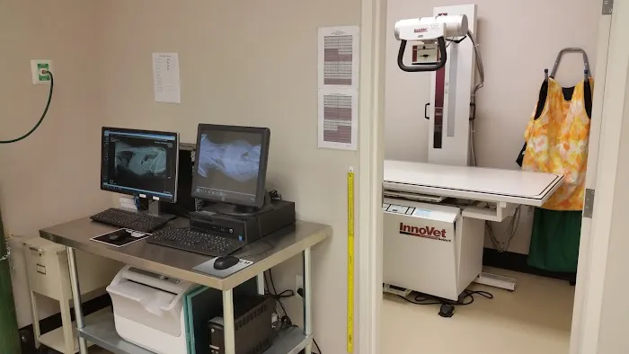 Beaufort Veterinary Hospital 9