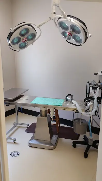 Beaufort Veterinary Hospital 8