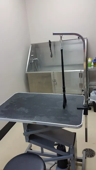 Beaufort Veterinary Hospital 6