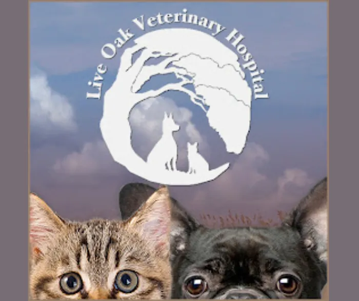 Live Oak Veterinary Hospital 10